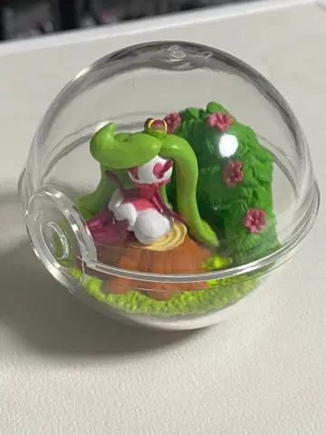 포켓몬 리멘트 테라리움 컬렉션 달코퀸