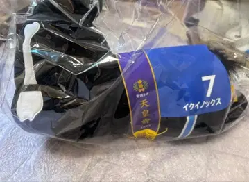 다이토 복권 A상 이퀴녹스 천황상 경마