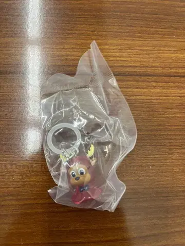 2025 J1 메지루시 액세서리 가시마 앤틀러스 시카오