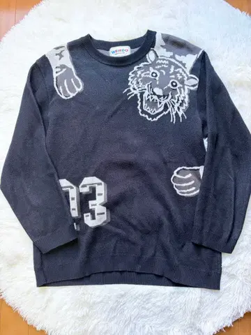 WEIRDO 호랑이 그래픽 긴팔 스웨터