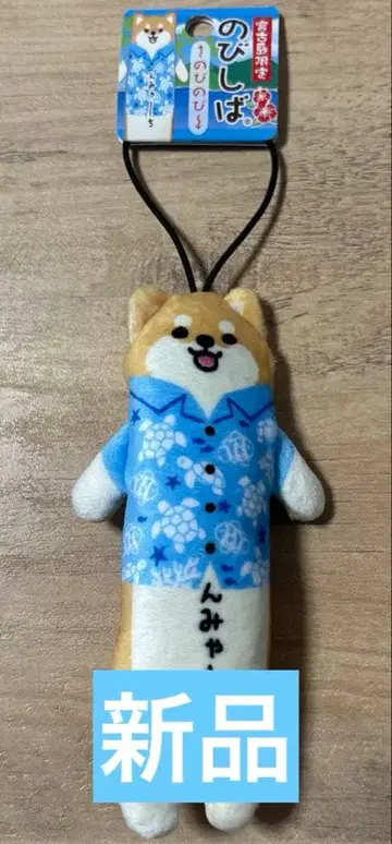 미야코지마 한정판 노비시바 반먀-치