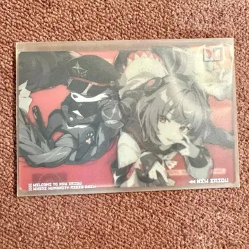 젠레스 존 제로 우키하 유즈하 아크릴 보드 그림자 시리즈 공식 정품 2