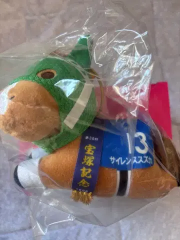 사일런스 스즈카 다이토 복권 다카라즈카 기념 C상