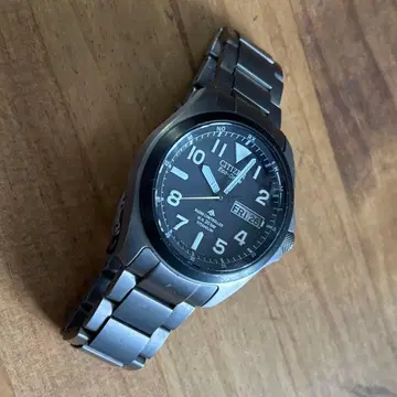 시티즌 프로마스터 랜드