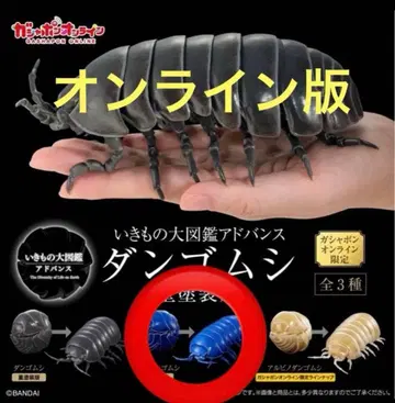 이리도 공벌레 중페인팅판 온라인판 생물대도감 어드밴스