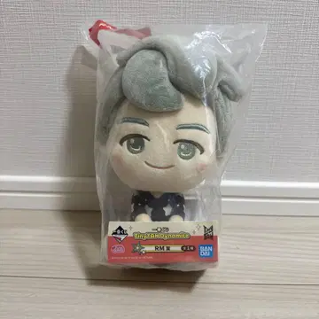 제일복권 RM상 TinyTAN 봉제 인형 약 20cm