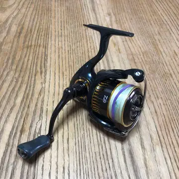 다이와 16 셀테이트 2508