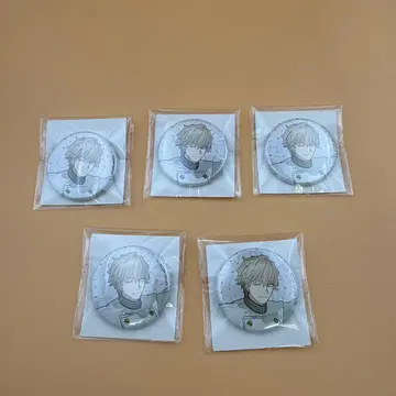 와다 아루코전 캔뱃지 가웨인 5점