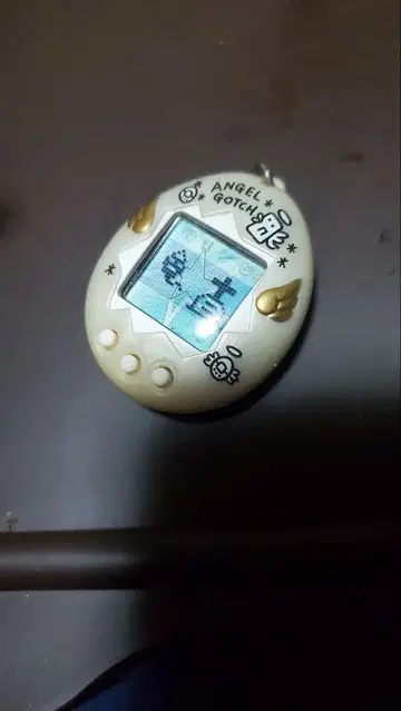 Angel Gotch 디지털 반려동물