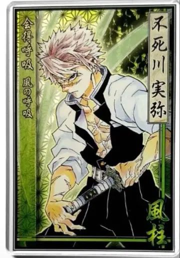 귀멸의 칼날 스탯 카드 컬렉션 시나즈가와 사네미