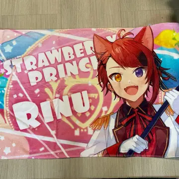 스토푸리 리이누군 2023 아레나 투어 픽처 타월