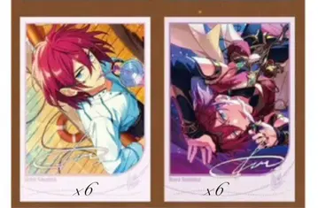 사에구사 이바라 모집 폴라로이드