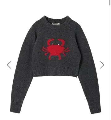 NKNIT 게 자수 그레이 크롭 니트