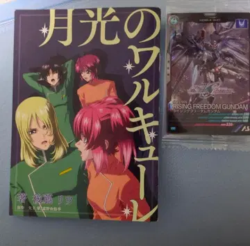 기동전사 건담 SEED 월광의 발키리 카드 포함