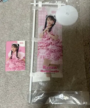 FRUITS ZIPPER 스키복권