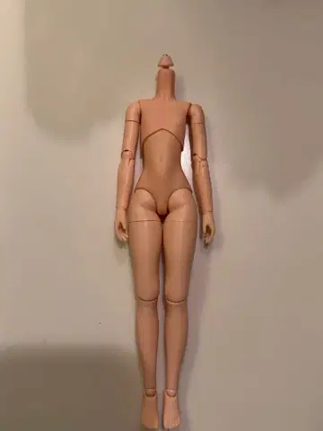 오비츠 바디 22cm 리카짱 사이즈