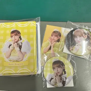 하야세 노엘 스키 복권 묶음 판매