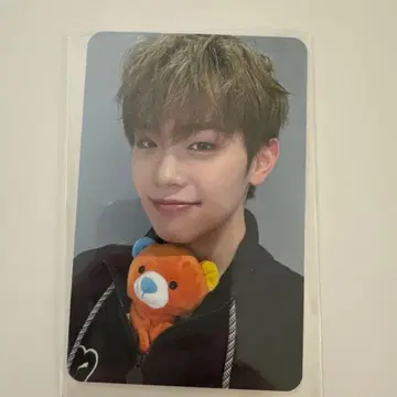 zb1 제베원 테레 트레이딩 카드 everline