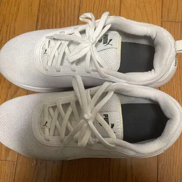 푸마 트랜스포트 신발