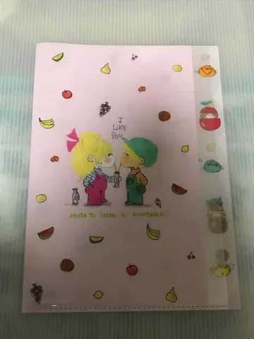 미즈모리 아도 클리어 파일 A4 아도짱