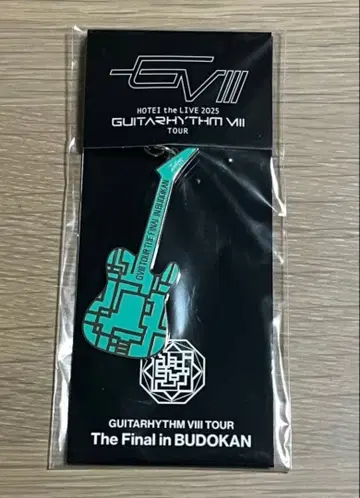 호테이 토모야스 GUITARHYTHM VIII FINAL 기타 키링