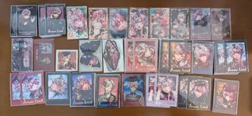 악마 고양이 아몬 리드 묶음 판매