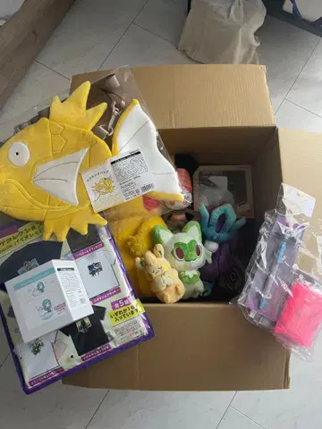 포켓몬 피카피카 박스 2026 금 코이킹 포함