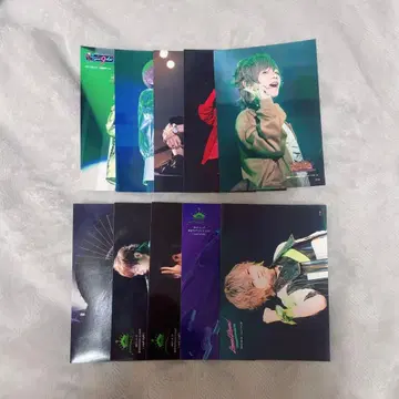 우라타누키 메모카