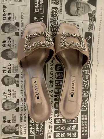 다이애나 DIANA 비쥬 버클 뮬