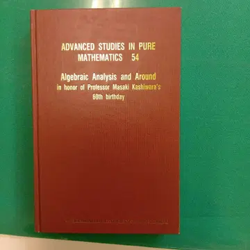 대수 해석과 그 주변: 카시와바라 마사키 교수 환력 기념
