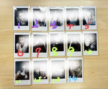 하야테 러브시크 폴라로이드