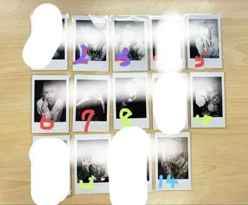 하야테 러브시크 폴라로이드