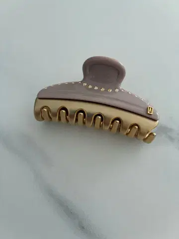 ALEXANDRE DE PARIS 헤어 클립 그레이 골드