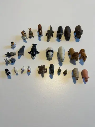 동물 피규어 세트 20종류 이상