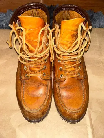 redwing 아이리쉬 세터