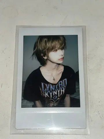 카지군 온라인 폴라로이드