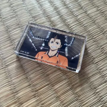 하이큐!! 아크릴 스탠드 오렌지