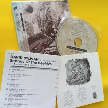 데이비드 실비언 종이 재킷