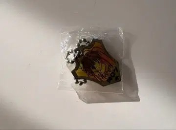 HUNTER x HUNTER 비주얼 메탈 메탈 참 네온