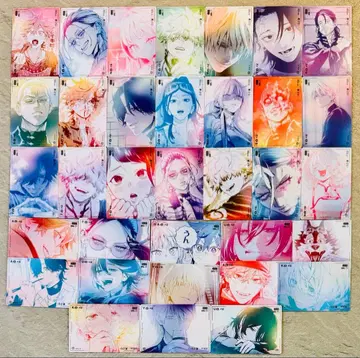 극락가 극근 접사 트레이딩 카드 근접 촬영점 ver 컴플리트