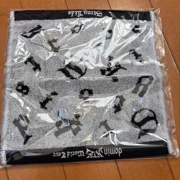 K-POP 스트레이 키즈 콘서트 업데이트