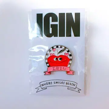 IGIN 캡슐 토이 핀 배지 jin bts 아이긴 진 POPUP