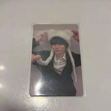 코이즈미 코사 겐지부 찍기 트레이딩 카드