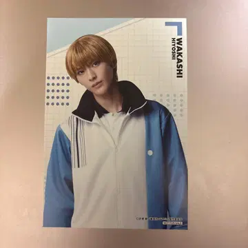 테니뮤 애니메이트 특전 엽서 히요시 와카