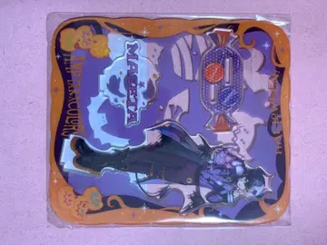 앰프턱컬러즈 마제타 아크릴 스탠드