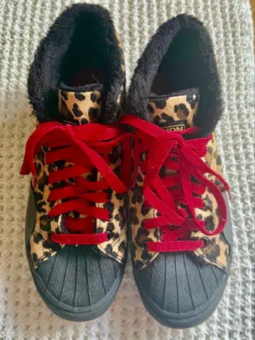 VISION x E-world gallery 콜라보 레오파드