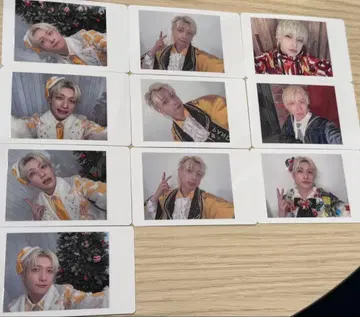 요타 팬더드래곤 하피카