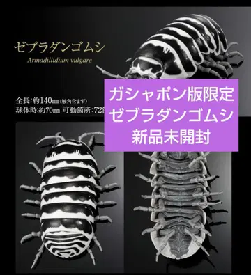 생물대도감 어드밴스 가샤폰판 한정판 제브라 쥐며느리 새상품