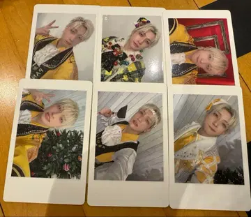 팬더드래곤 파라곤 하피카 폴라로이드 요우타