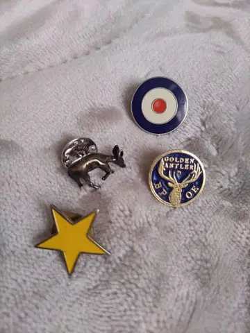 핀 배지 세트 4점